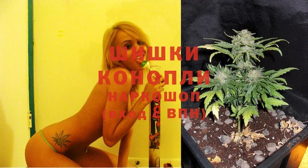 дурь Алзамай