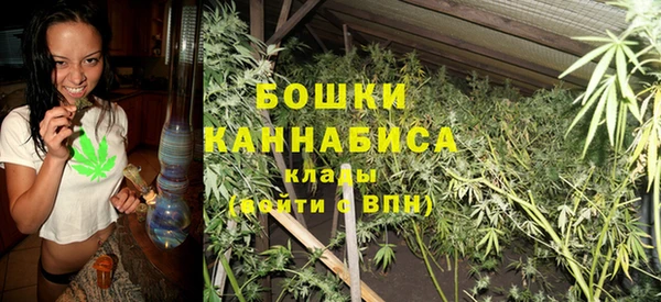 дурь Алзамай