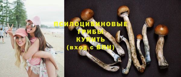 дурь Алзамай