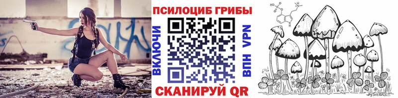 Галлюциногенные грибы Psilocybine cubensis  Гвардейск 